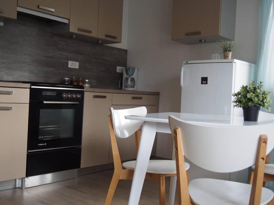 Appart Cosy Annecy Parking Et Velos Gratuit Exterior foto